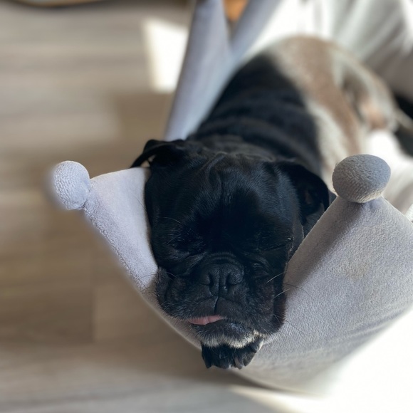 Meet your Posher, Gina - Picture 1 of 1